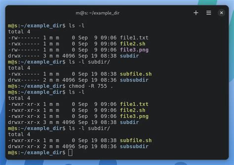 chmod directory recursive